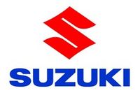 Коррекция пробега Suzuki